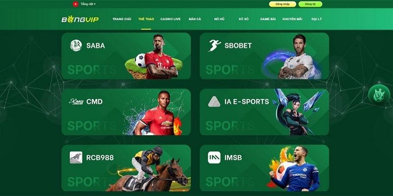 Thể Thao tại nhà cái Bongvip Đẳng Cấp chất lượng và uy tín